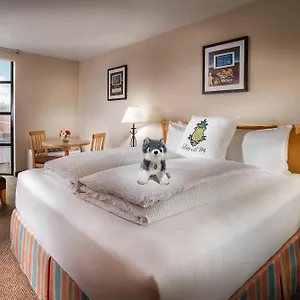 Hotel Staypineapple, Inn, District